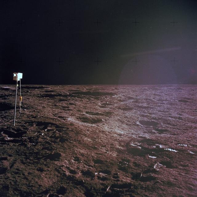 Moon tree ceremony