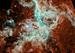 Observatories Combine to Crack Open the Crab Nebula